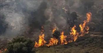 حرائق القدس تتسبب في إجلاء المئات والنيران تلتهم الممتلكات.. الكيان يستنجد