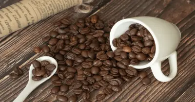 صدمة لعشاق القهوة.. 80% من البن المتداول في الأسواق مغشوش