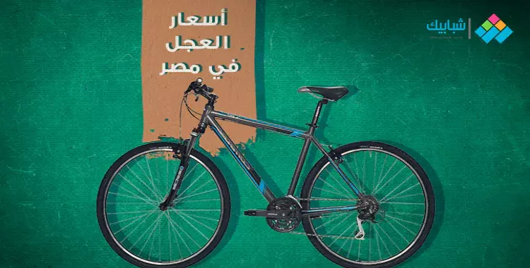  أسعار الدراجات في مصر.. أفضل أنواع العجل تبدأ من 500 جنيه 