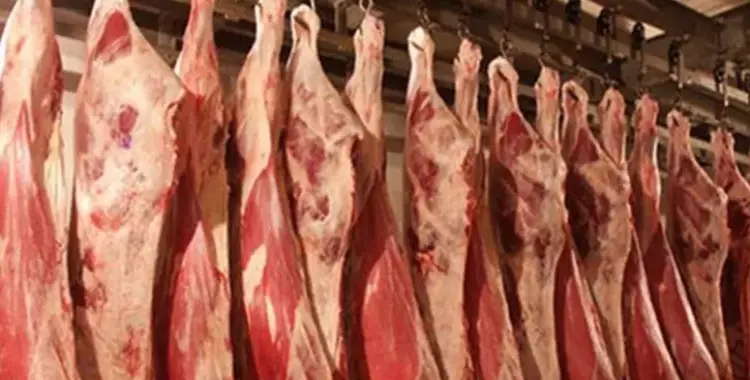  أسعار اللحوم خلال شهر رمضان 2019 