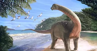 أكبر مجلة علمية بالعالم تنشر كواليس اكتشاف الديناصور المصري (مترجم)