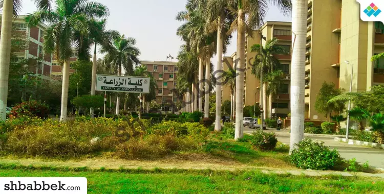  أول كلية بصعيد مصر.. تعرف على تاريخ زراعة أسيوط وأقسامها 