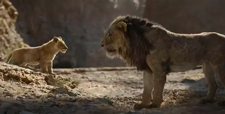  إيرادات فيلم «The Lion King» تصل مليار ونصف دولار في أقل من شهرين 