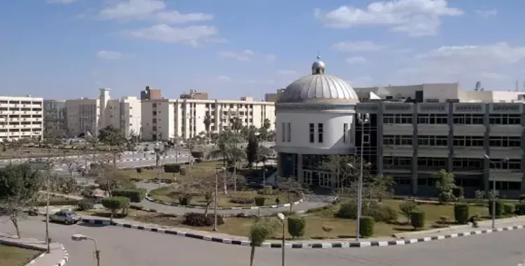  اتحاد حاسبات جامعة الفيوم يطالب بإنشاء نقابة 