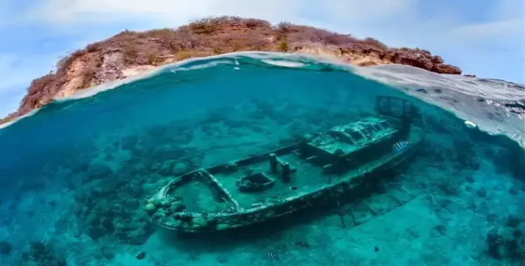  اكتشف عالم البحار بأفضل صور تحت الماء 