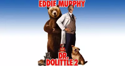 الأربعاء.. كوميديا ومغامرات مع «إيدي ميرفي» في «Dr.Dolittle»