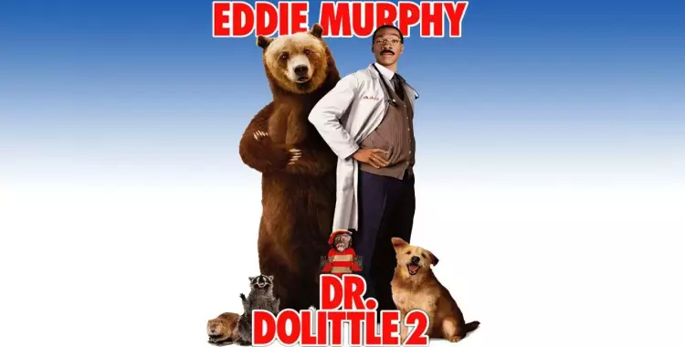  الأربعاء.. كوميديا ومغامرات مع «إيدي ميرفي» في «Dr.Dolittle» 