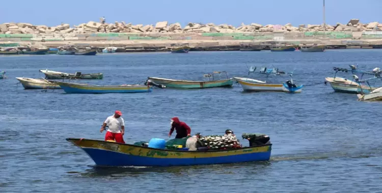  البنك الدولي يحذر.. اقتصاد غزة دخل مرحلة «الانهيار» 