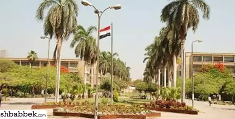  «التكنولوجيا الحيوية».. مسابقة طلابية يشارك فيها 17 جامعة مصرية 