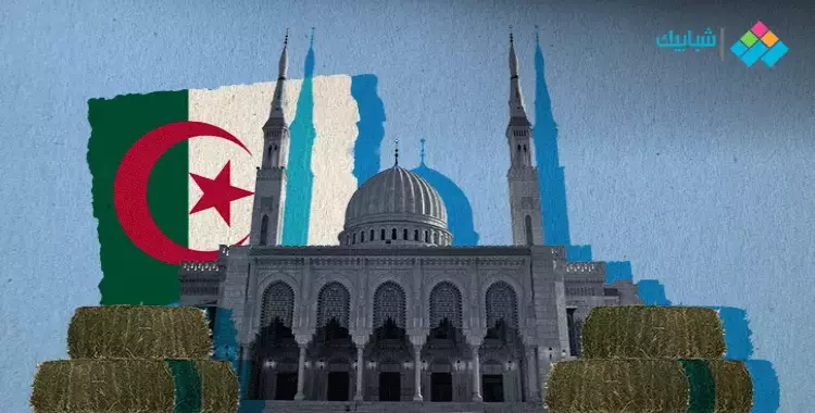  الجزائر بعيون رحالة ألماني.. حين حوّل الفرنسيون المساجد لمخازن «تبن» 