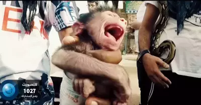«الراحمون» مبادرة لوقف بيع وتعذيب الحيوانات الأليفة (فيديو)