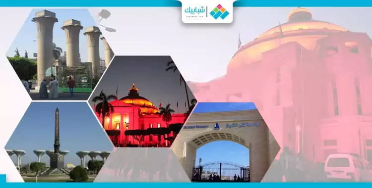  السيسي يعين 10 عمداء كليات ورئيس جامعة السادات 
