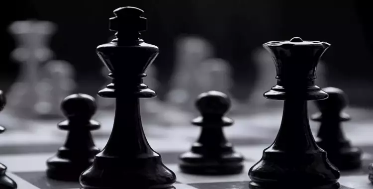  الشطرنج.. 5 فيديوهات هتخليك حريف «كش ملك» 