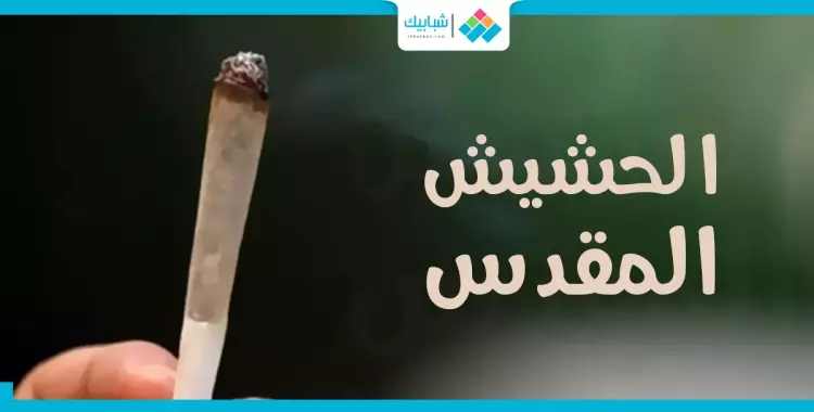  القاهرة الخامسة عالميا في تعاطي الحشيش.. فلماذا يهرب المصريون للمخدرات؟ 