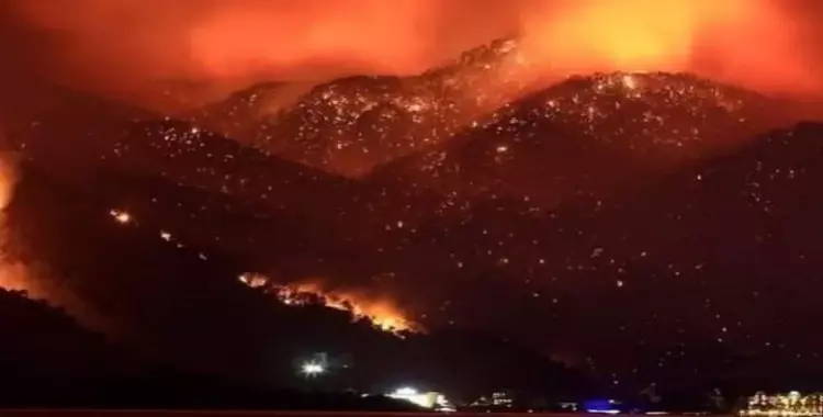  الكشف عن سبب حريق الجزائر 2021.. ليس ارتفاع درجات الحرارة 