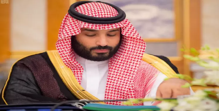  المؤهلات العلمية والإدارية لمحمد بن سلمان.. هذا هو ملك السعودية القادم 