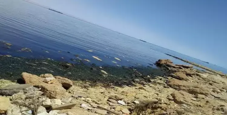  المعهد القومي لعلوم البحار يكتشف بقعة زيتية على شاطئ خليج السويس 