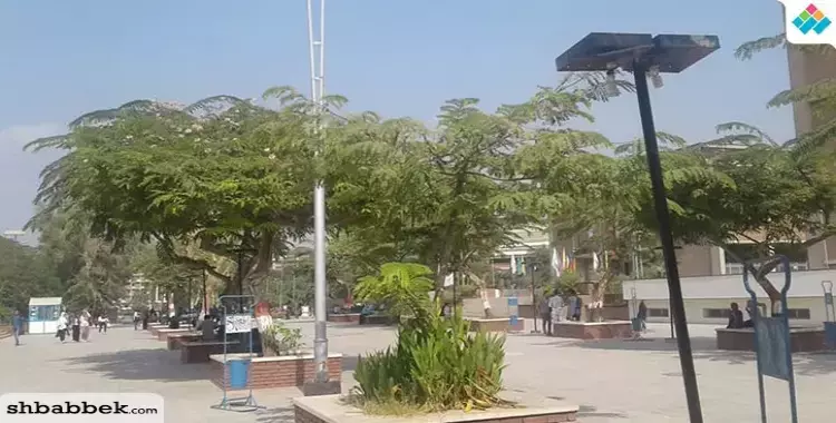  بأمر العميد.. منع دعاية المرشحين لاتحاد الطلاب في ساحة «هندسة أسيوط» 