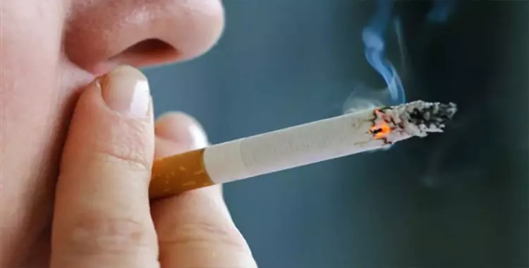  بمعدل 24 سيجارة يوميا.. المصريون دخنوا بـ36.7 مليار جنيه في عام واحد 