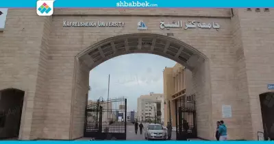 بمناسبة المولد النبوي.. شهر مكافأة للعاملين بجامعة كفر الشيخ
