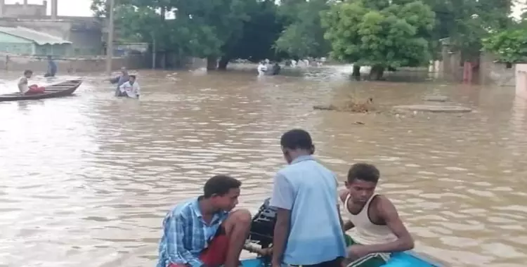  تماسيح وثعابين في الفيضانات في السودان 2020 بالفيديو والصور 