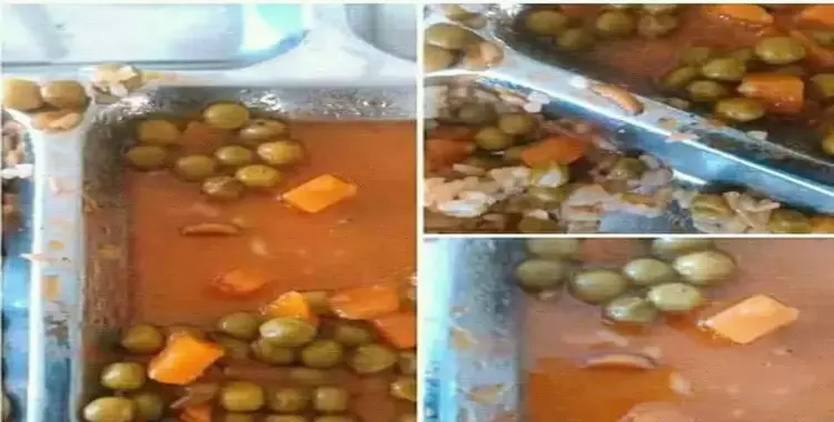  «دود» في طعام طلاب جامعة المنوفية 
