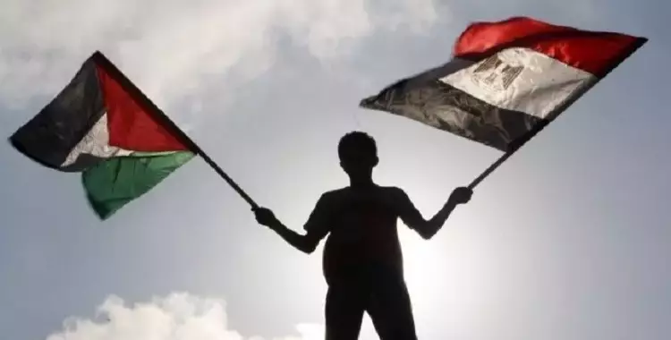  دور مصر في القضية الفلسطينية.. ماذا فعلت مصر سياسيًا وإنسانيًا؟ 