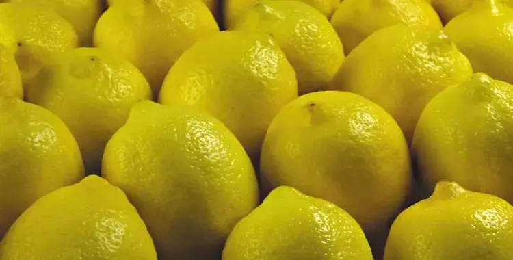  سعر الليمون يقفز إلى 30 جنيه للكيلو.. اعرف سعره في سوق العبور 