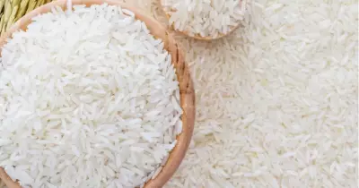 سعر شيكارة الأرز 25 كيلو اليوم في مصر