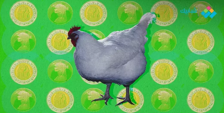  سعر طن الدجاج البرازيلي الحقيقي بالجنية المصري والكيلو بكم للمستهلك 