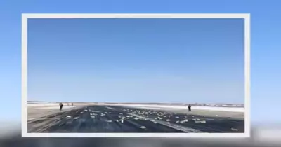 شاهد ألماس وسبائك ذهبية تتناثر من طائرة تحلق في الجو (فيديو)