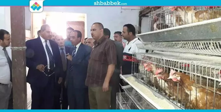  صور| رئيس جامعة الأزهر يتفقد مزرعة الإنتاج الحيواني 