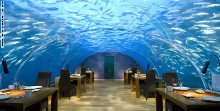  صور| من الهند إلى الكاريبي.. هذه أجمل الفنادق تحت الماء 
