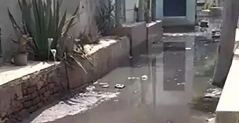 ضريح الشيخ الشعراوي يغرق في مياه الصرف الصحي (فيديو)