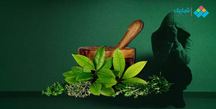  علاج الاكتئاب بالأعشاب.. نباتات ومكملات غذائية تقضي على الاكتئاب 