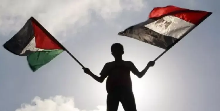  علم مصر وفلسطين لبوستات وحالات فيسبوك واتسآب وخلفيات 