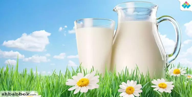  فوائد الحليب.. مشروب الطاقة والعناية بالبشرة 