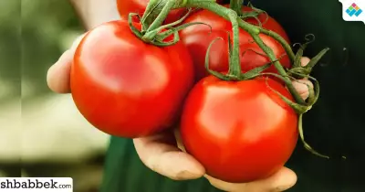 فوائد الطماطم.. 9 أسباب تخليك تاكل قوطة كل يوم