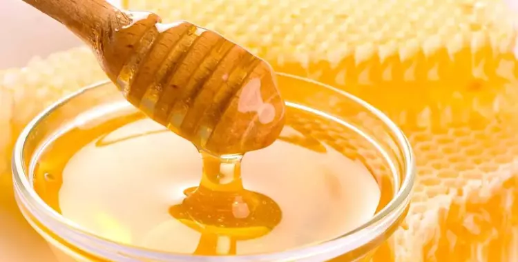  فوائد العسل.. يقوي الجسم ويزيد الرغبة في الجنس 
