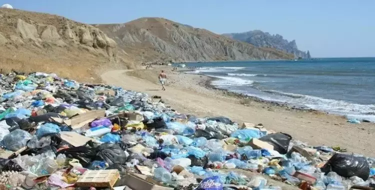  في عام 2050.. القمامة ستصبح أكثر من الكائنات الحية (فيديو) 