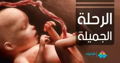 فيديو| «الرحلة الجميلة» حياة الجنين داخل رحم الأم