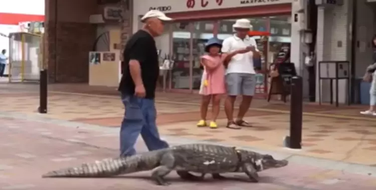  فيديو| بسبب «الوحدة».. ياباني يعيش مع تمساح مفترس 34 عاما 