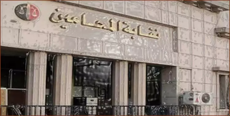  قرار من الهيئة الوطنية للانتخابات ضد محامي مصر 