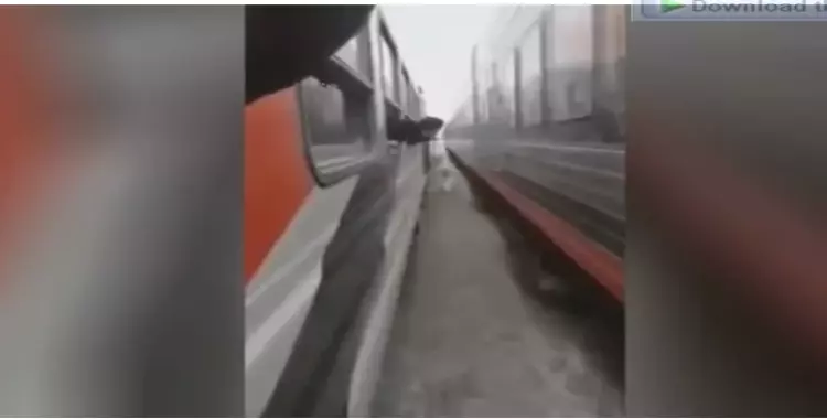  قصة وفيديو حصان بين قطارين ينجو من الموت بأعجوبة.. مشهد يثير الفزع 
