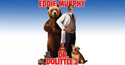 كوميديا مع «إيدي ميرفي» في «Dr.Dolittle» الليلة