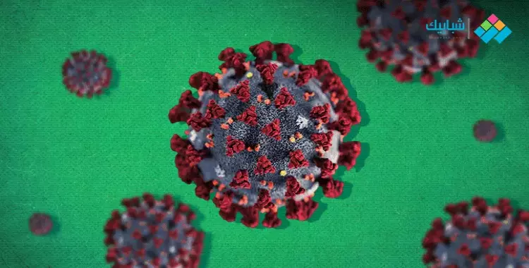  كيف ينتقل فيروس كورونا؟ هكذا تتجنب طرق انتشار العدوى 