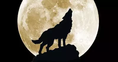 ما هو بدر الذئب؟ وموعد ظهوره في مصر