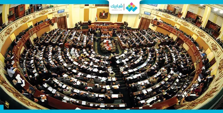  مجلس النواب يستعين بطلاب «اقتصاد القاهرة» 