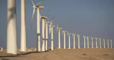 مشروع دومة الجندل لطاقة الرياح كم توربين؟.. إجابة من موقع رؤية 2030