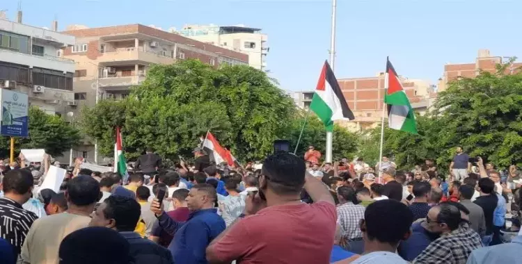  مظاهرات الإسماعيلية اليوم دعمًا لفلسطين (فيديو) 
